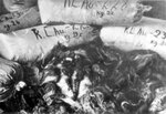 A pile of sacks with hair of women murdered in KL Auschwitz-Birkenau. The hair was packed by the Germans and prepared for shipment to be utilized in industry. In the front hair from torn sacks, including two pigtails. Photograph taken after the liberation