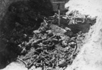 One of the mass graves opened during exhumation in the concentration camp at Majdanek in the autumn of 1944. (IPN)