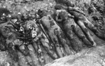 Corpses of prisoners unearthed in the Majdanek camp. August 1944. (IPN)