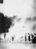 Burning of Jews remains in KL Auschwitz (IPN)