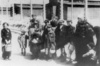 Hungarian Jews in KL Auschwitz on their way to the gas chambers (IPN).